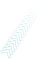 Decorative Shape
